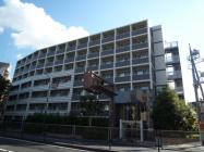 ������������Ω��إ쥸�ǥ�