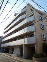 �ץ��쥬������ë����