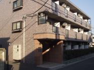 �����ॳ���ȼ�ͳ����