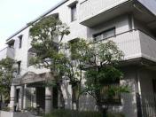 コスモスパジオ西小山